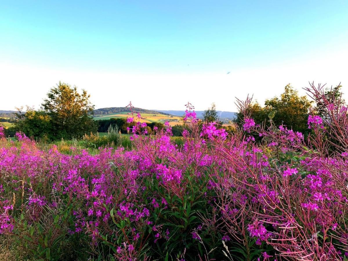 Villa Hainberg Rauschenbach Dış mekan fotoğraf