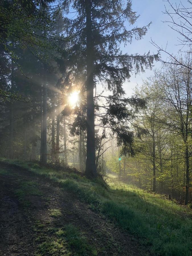 Villa Hainberg Rauschenbach Dış mekan fotoğraf